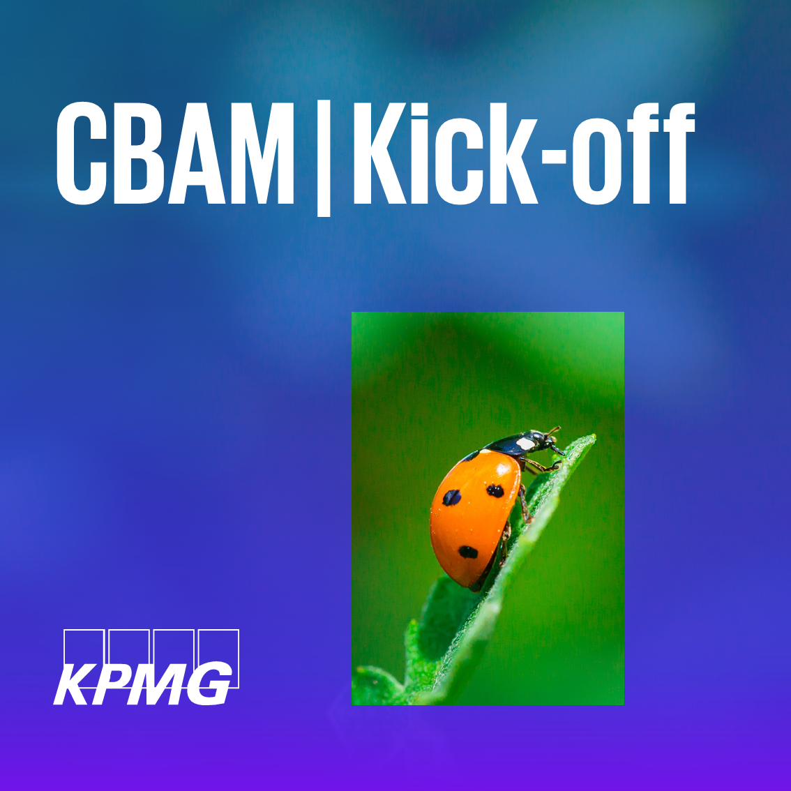 Banner_HS_CBAM_Kick-off