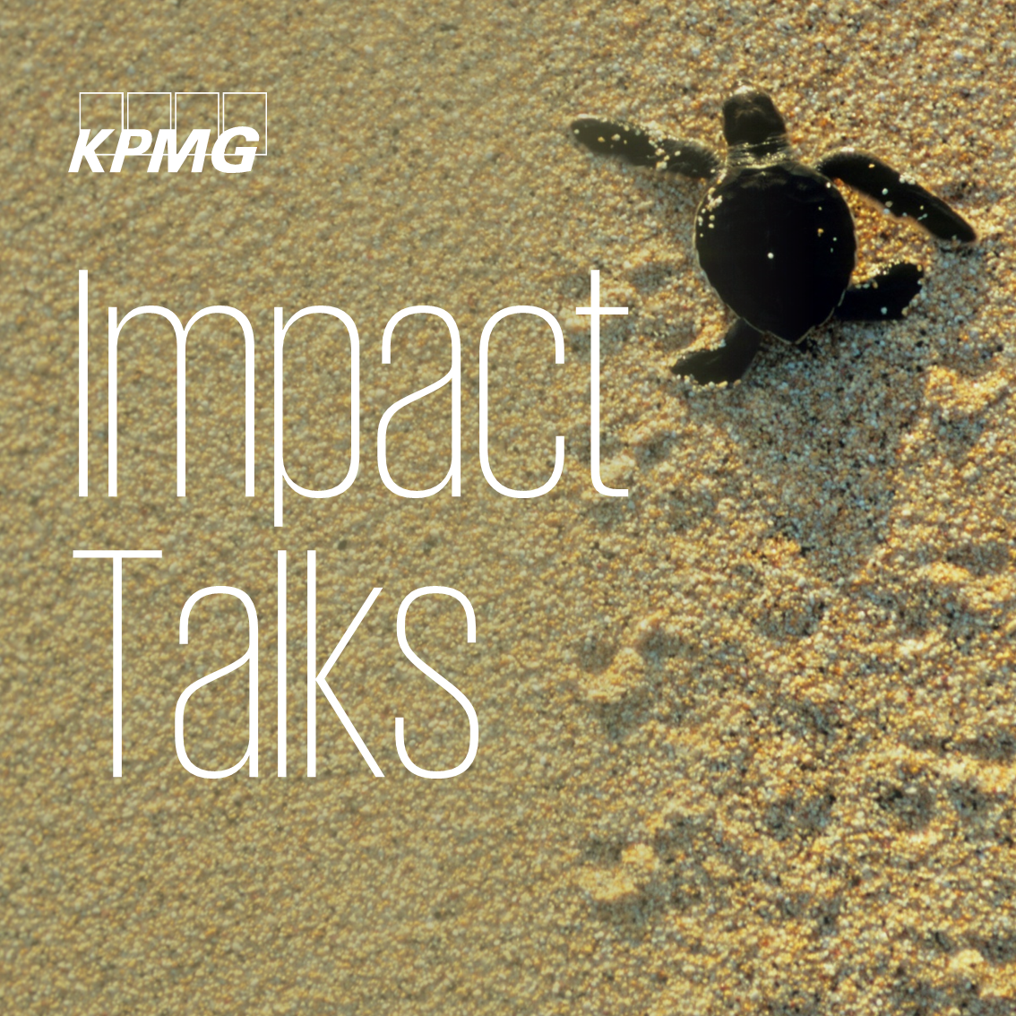 Banner_hs_Impact_Talks2