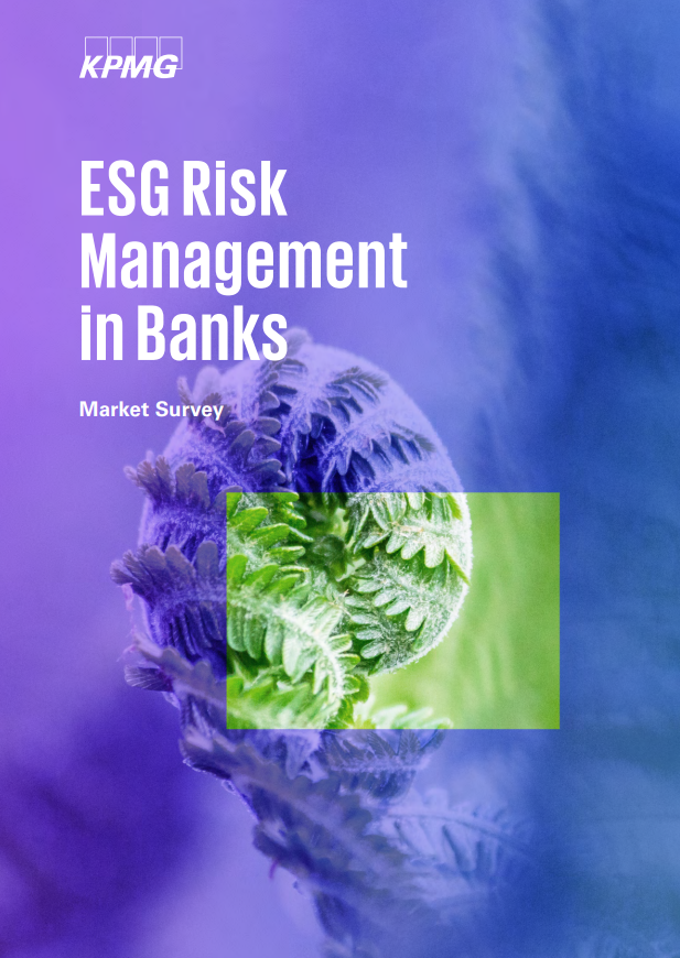ESG risk management in banks
