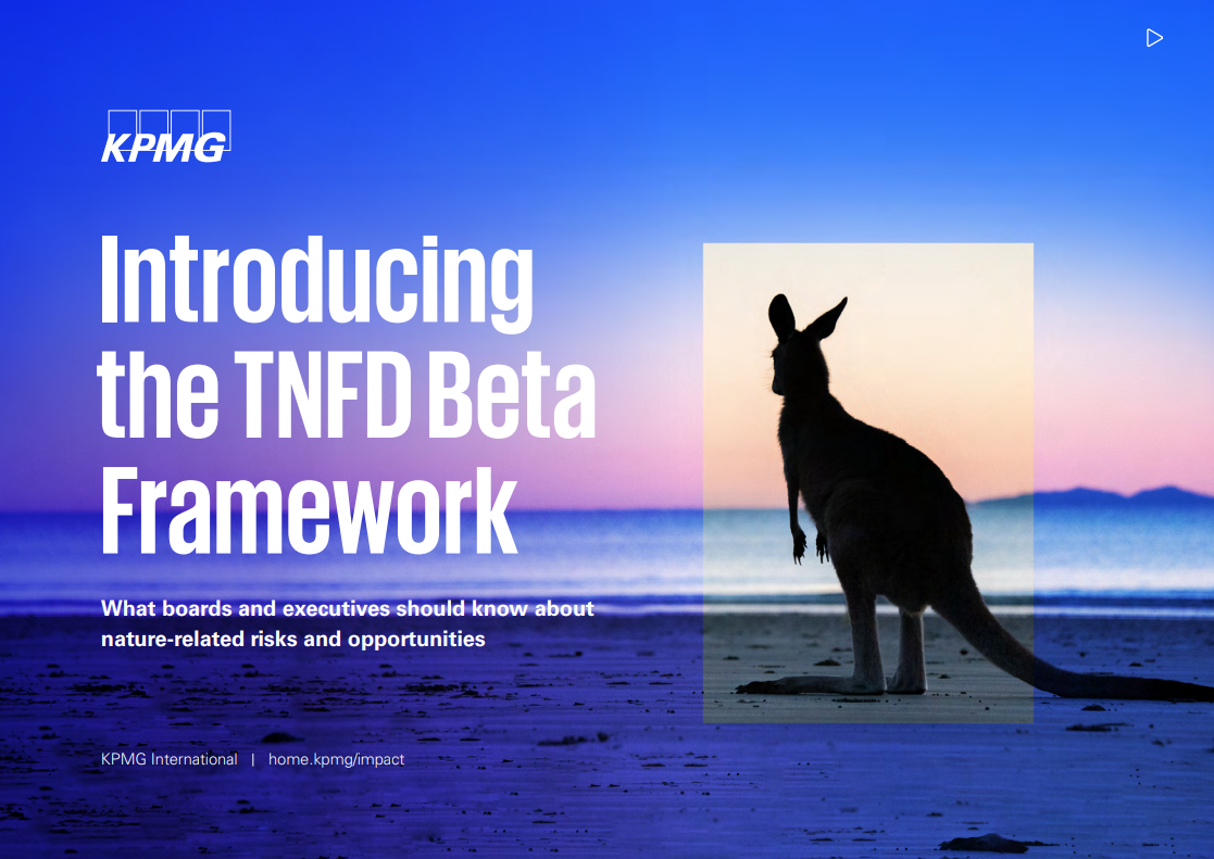 Introducing the TNFD Beta Framework